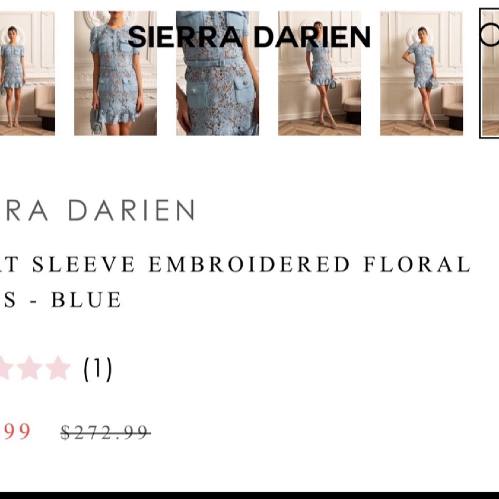 Blue Embroidered Floral Mini Dress